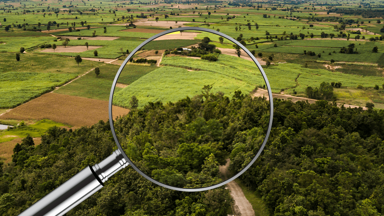 O preço da sustentabilidade é a eterna vigilância