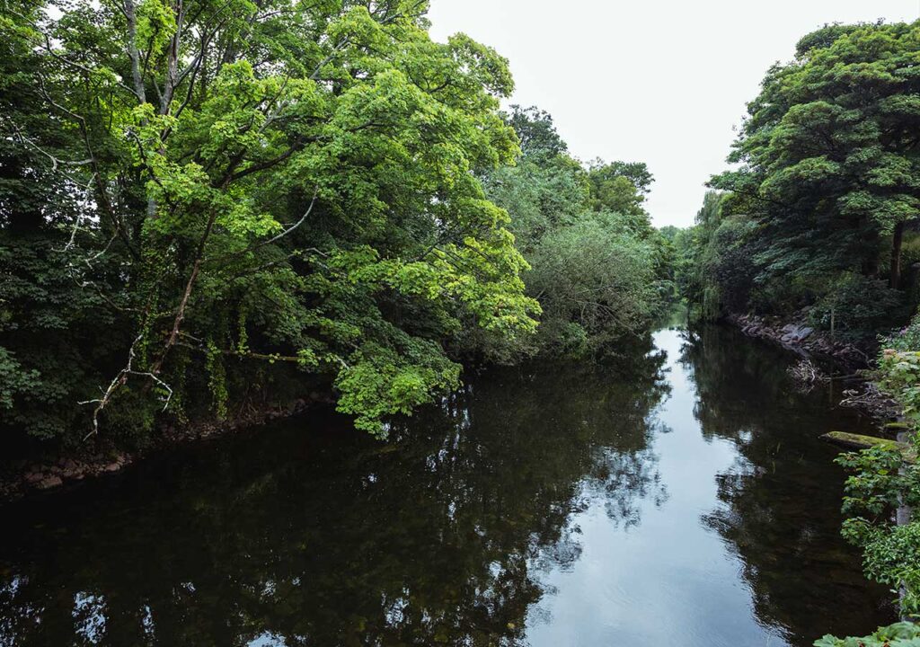 Dia da Amazônia: Valorizar para Transformar é o caminho