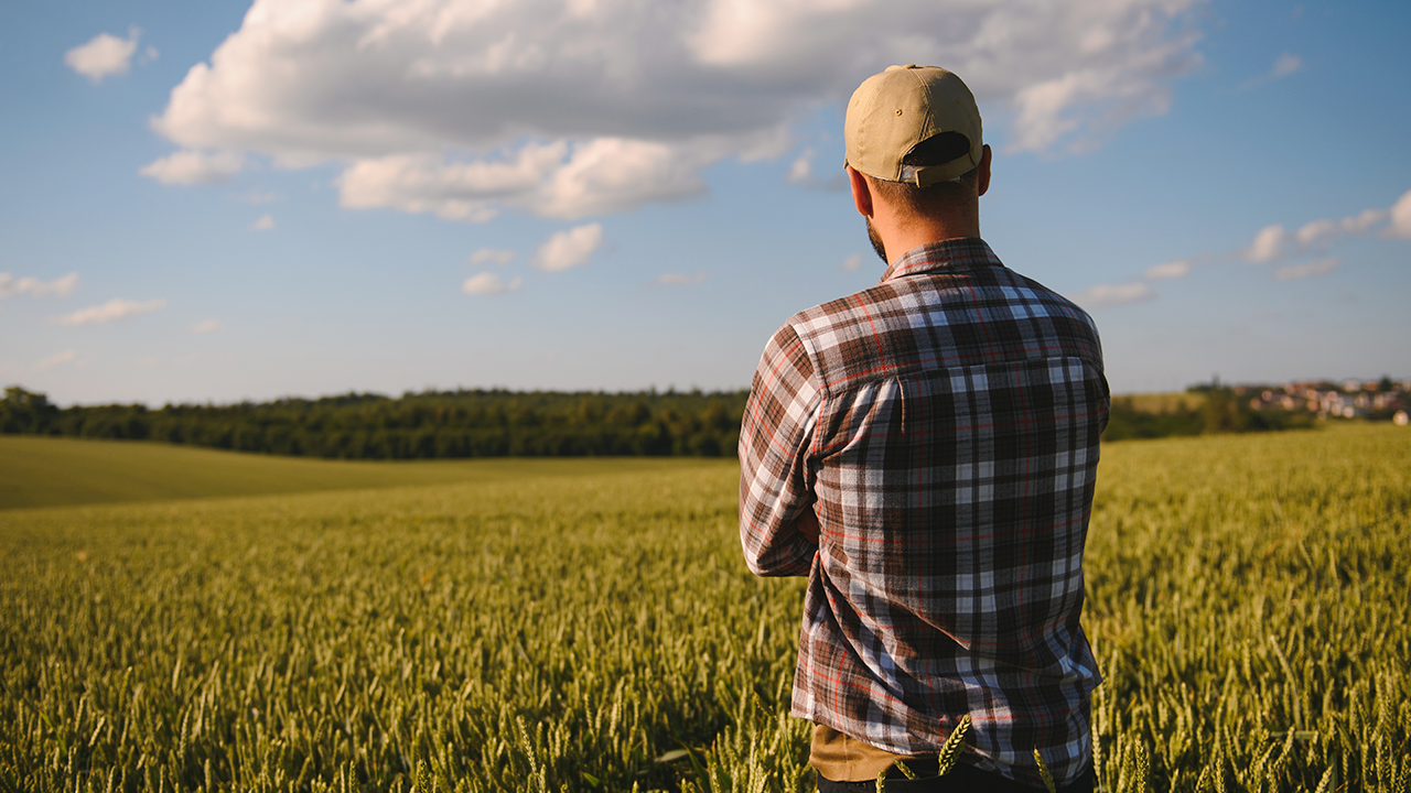 Uma mensagem ao agrônomo do futuro