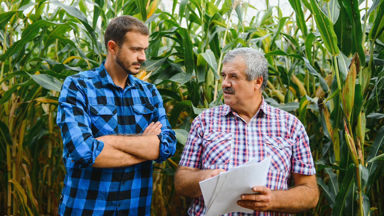 Cinco passos para uma sucessão familiar bem-sucedida no agro