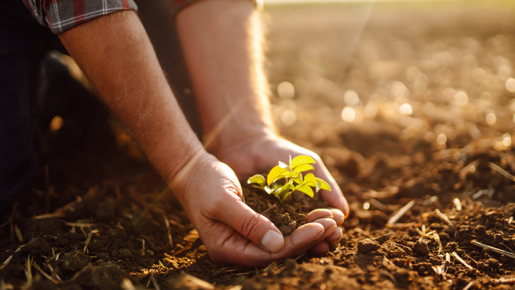 Por que 2025 será um ano decisivo para o agro?