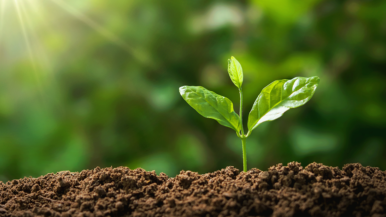 Lei dos Bioinsumos: O que todo produtor rural precisa saber