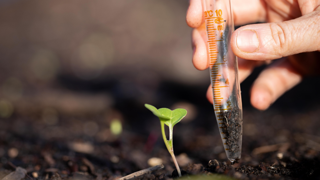 5 análises agropecuárias essenciais para aumentar a produtividade no campo