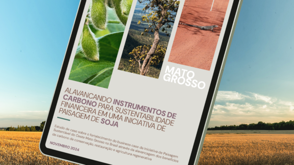 Carbono e soja: Estudo revela caminhos para financiar a produção sustentável no Mato Grosso